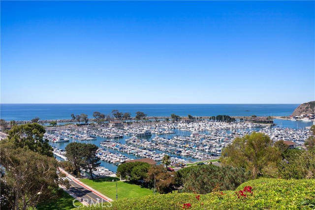 Detail Gallery Image 35 of 42 For 985 Doheny Way, Dana Point,  CA 92629 - 2 Beds | 2/1 Baths