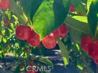 Detail Gallery Image 61 of 72 For 197 Massive Rd, Lake Arrowhead,  CA 92317 - 4 Beds | 3/1 Baths