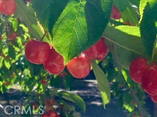 https://media.crmls.org/medias/60a0de1e-8091-43f0-a272-16871eb60fb5.jpg?preset=X-Large