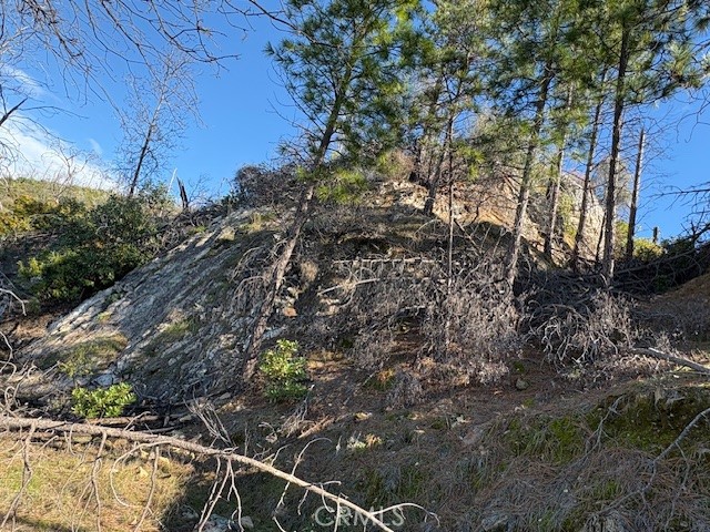 Detail Gallery Image 13 of 34 For 8870 Oro Quincy, Berry Creek,  CA 95916 - – Beds | – Baths