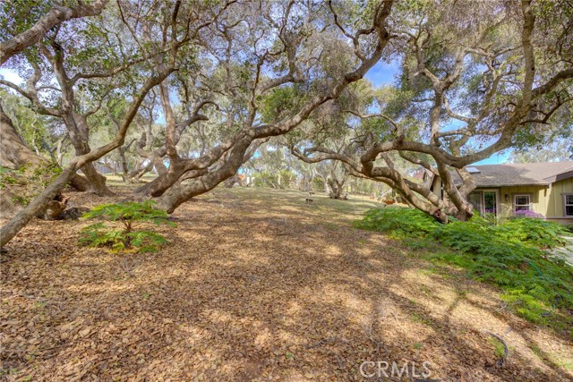 Detail Gallery Image 49 of 58 For 1785 Martingale Ave. Ave, Los Osos,  CA 93402 - 5 Beds | 3/1 Baths