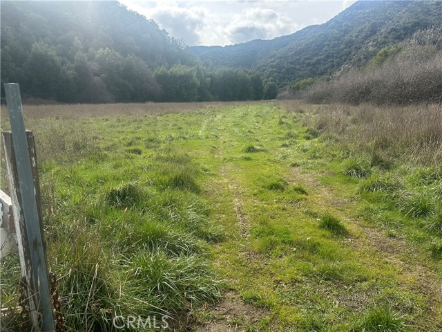 Detail Gallery Image 3 of 13 For 9000 Scotts Valley Rd, Upper Lake,  CA 95485 - – Beds | – Baths