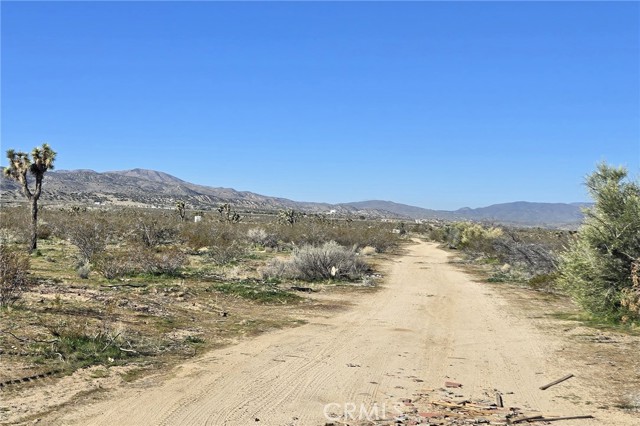 Detail Gallery Image 5 of 7 For 105 Th E Ave V8 & 106th E, Pearblossom,  CA 93553 - – Beds | – Baths