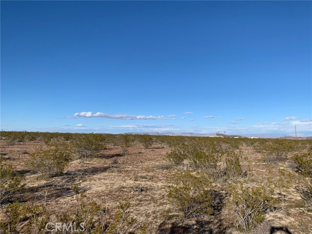 Detail Gallery Image 10 of 13 For 42 Foxy Flats Rd, Joshua Tree,  CA 92252 - – Beds | – Baths