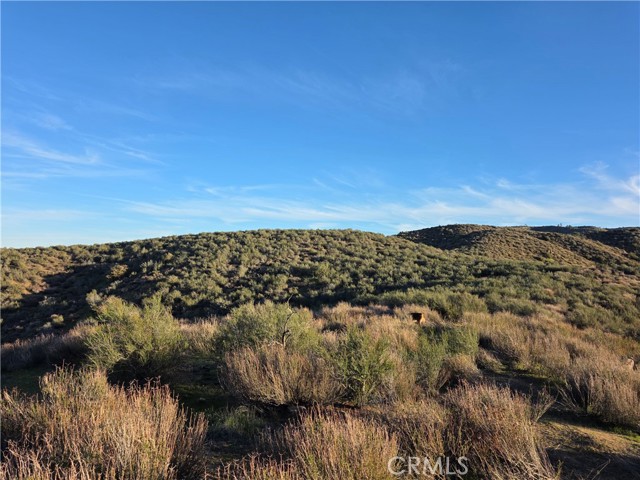 Detail Gallery Image 23 of 29 For 25 3points, Lake Hughes,  CA 93532 - – Beds | – Baths