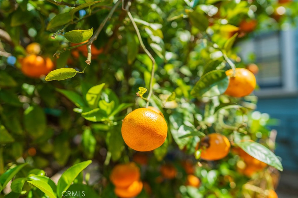 https://media.crmls.org/medias/60b450bf-b0d9-4557-9fdc-0cf2052aec04.jpg?preset=X-Large