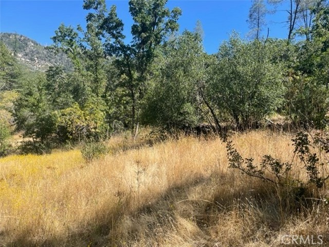 Detail Gallery Image 11 of 17 For 0 Lot 2 Peckinpah Acres Dr, North Fork,  CA 93643 - – Beds | – Baths