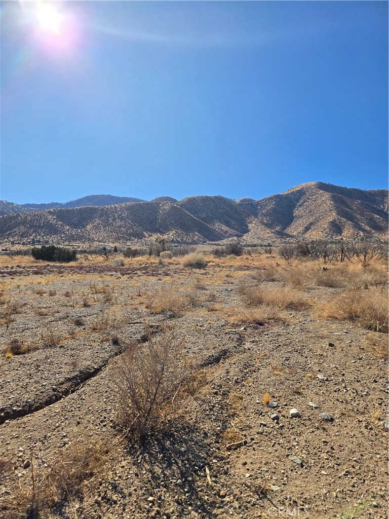 MLS #IG25037440 img 7