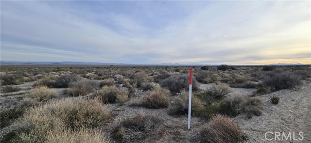Image 5 of 16 For 24300 Fort Tejon Road