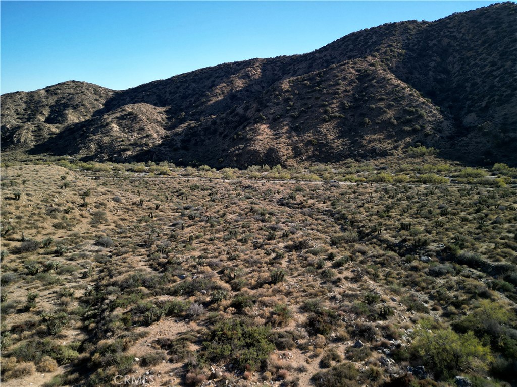 MLS #OC25240142 image #14