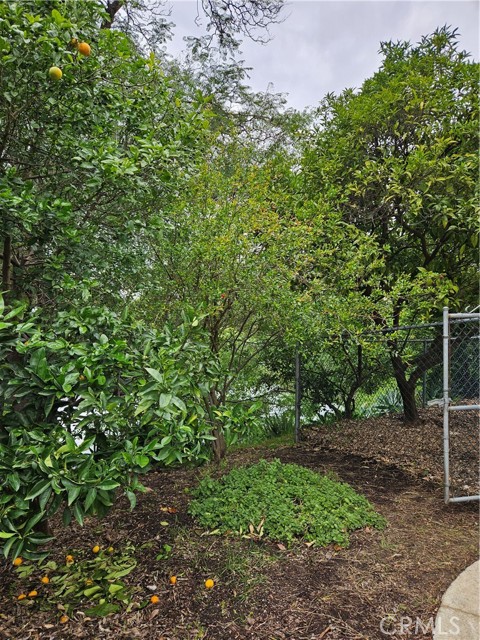 Detail Gallery Image 41 of 48 For 26349 Hillcrest Ave, Lomita,  CA 90717 - 5 Beds | 2 Baths