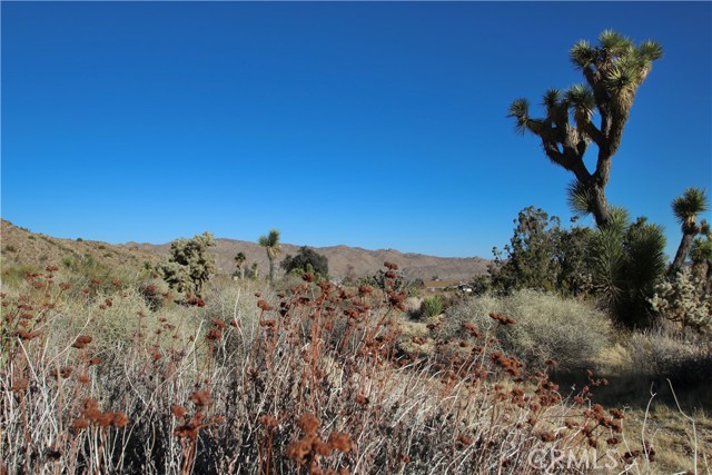 Detail Gallery Image 14 of 20 For 8435 Bannock Trl, Yucca Valley,  CA 92284 - – Beds | – Baths