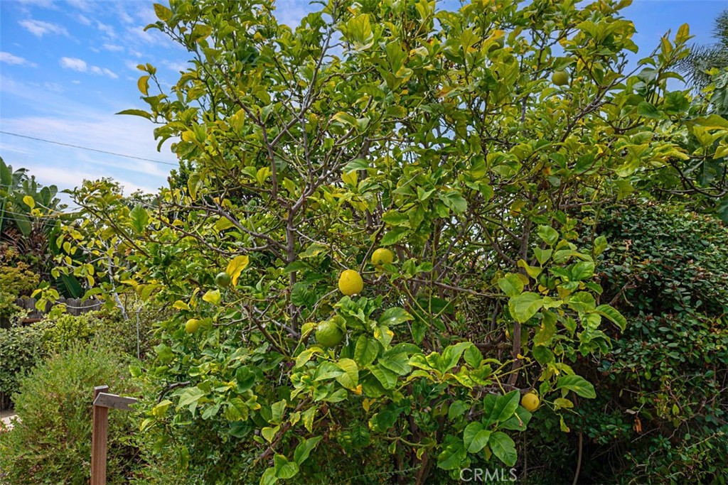 https://media.crmls.org/medias/60d09a68-8d2b-4e10-8a07-b283ab4acd47.jpg?preset=X-Large