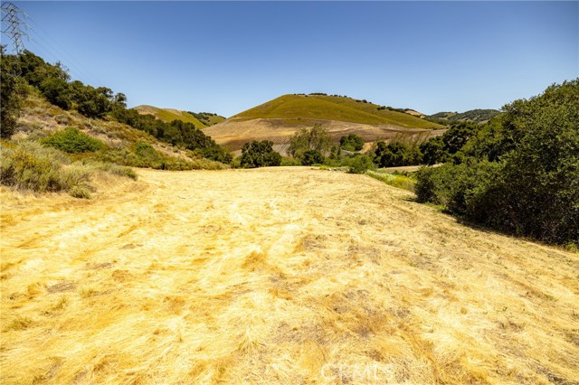 680 Spring Canyon Lane, Nipomo CA: https://media.crmls.org/medias/60d2d42a-5148-4d26-b749-e81aaf6535c1.jpg