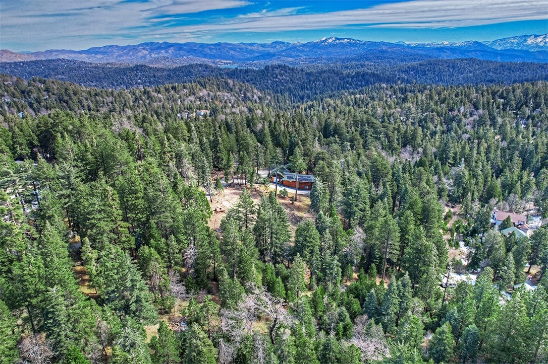 0 Cedar Brook Drive, Twin Peaks, California 92391, ,Land,For Sale,0 Cedar Brook Drive,CRRW23028567