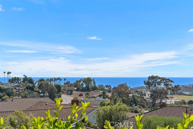 317 Calle Familia, San Clemente CA: https://media.crmls.org/medias/60d6326e-2aa4-45c6-8cb2-5047ad18611d.jpg