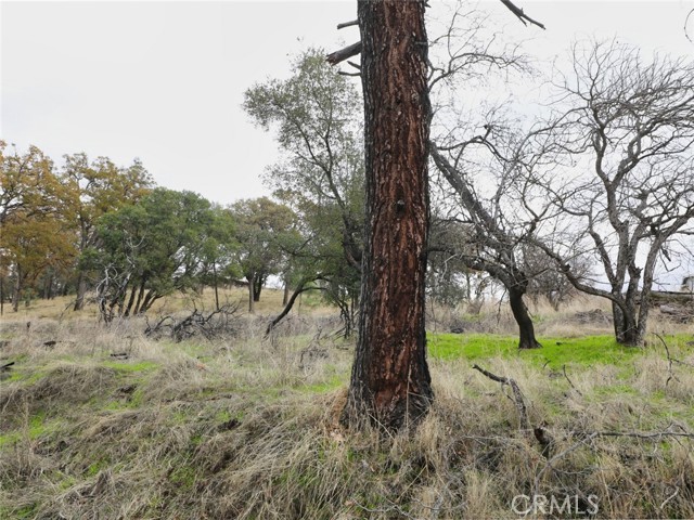 Detail Gallery Image 8 of 11 For 2960 Crestview Dr, Clearlake,  CA 95422 - – Beds | – Baths