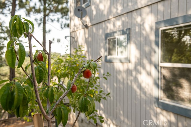 Detail Gallery Image 21 of 25 For 1477 Sequoia Dr, Lake Arrowhead,  CA 92352 - 4 Beds | 2/1 Baths