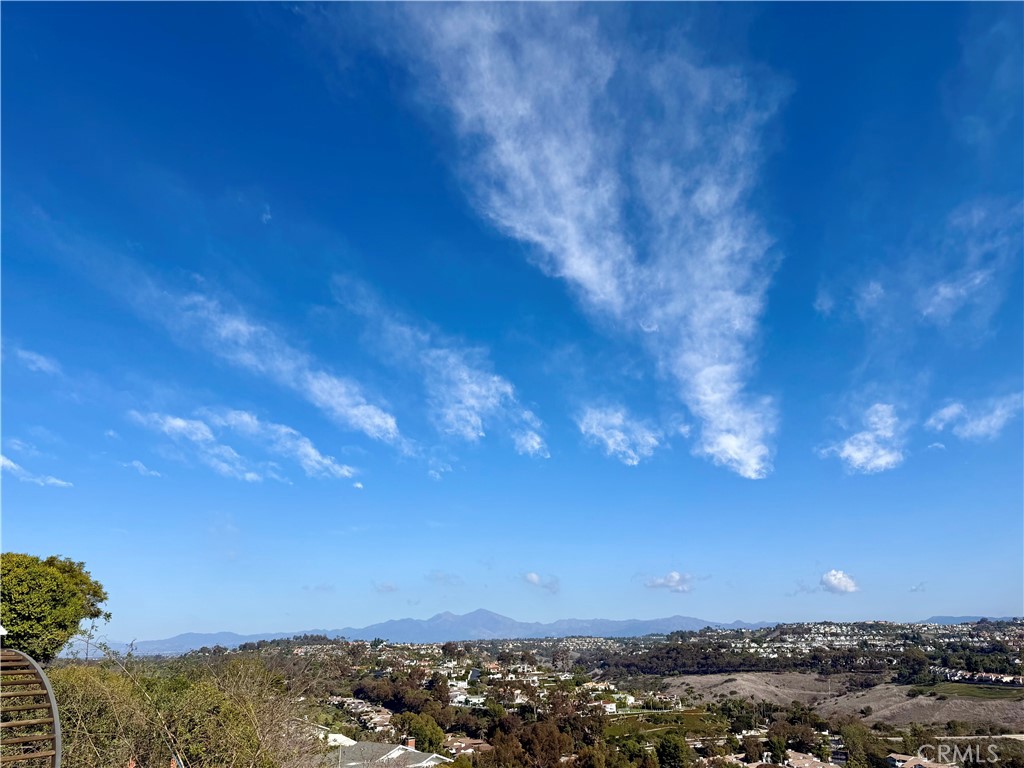 MLS #OC25010978 image #10