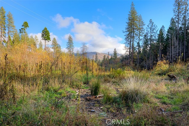 Detail Gallery Image 38 of 50 For 13159 Mullen, Oroville,  CA 95965 - 3 Beds | 2/1 Baths