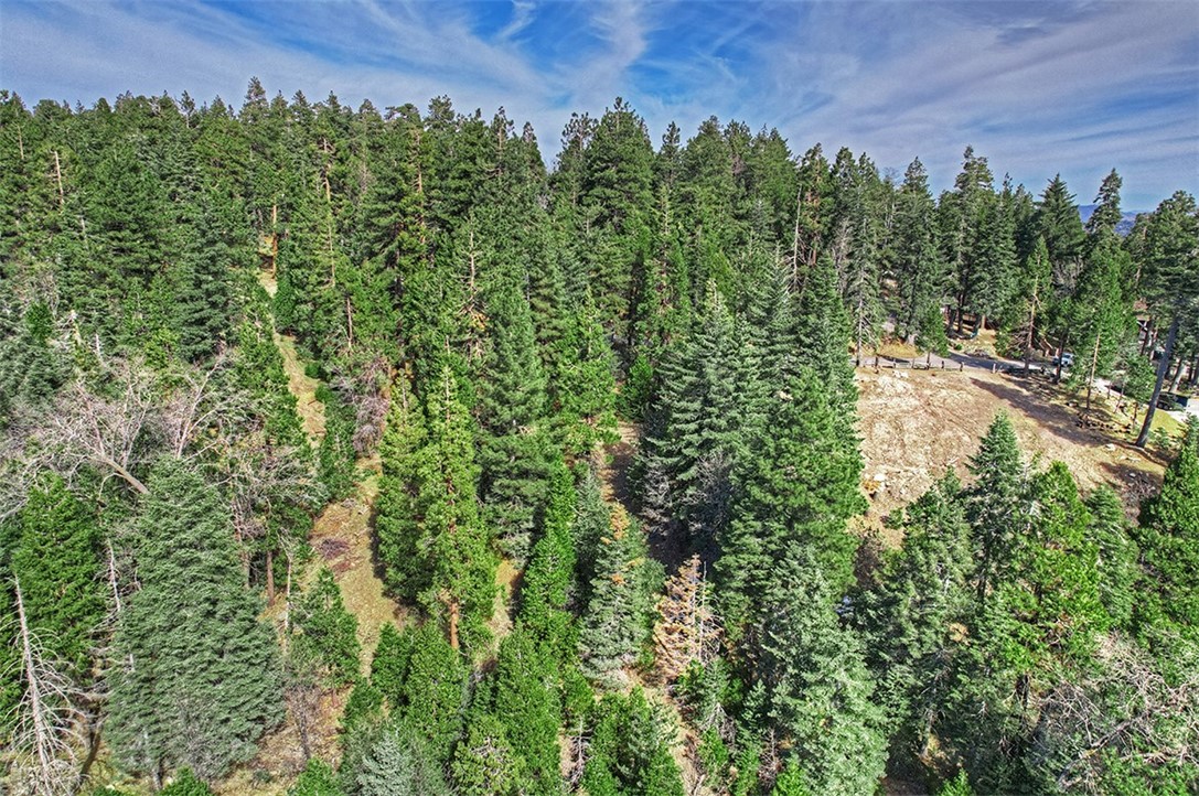 0 Cedar Brook Drive, Twin Peaks, California 92391, ,Land,For Sale,0 Cedar Brook Drive,CRRW23028567