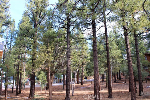 2340 Manzanita Lane, Big Bear City, CA, 92314 2340 Manzanita Lane, Big Bear City, CA, 92314