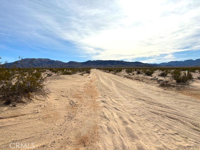 Detail Gallery Image 9 of 10 For 0 Primrose Ln, Twentynine Palms,  CA 92277 - – Beds | – Baths