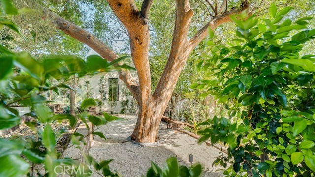Image 64 of 75 For 854 Avenue 37
