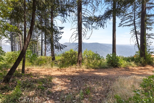 Detail Gallery Image 34 of 44 For 5009 Big Bend Rd, Oroville,  CA 95965 - 3 Beds | 2 Baths