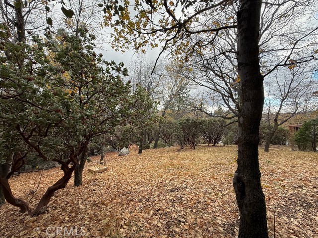 Detail Gallery Image 6 of 7 For 0 Yosemite Dr, Lake Arrowhead,  CA 92352 - – Beds | – Baths