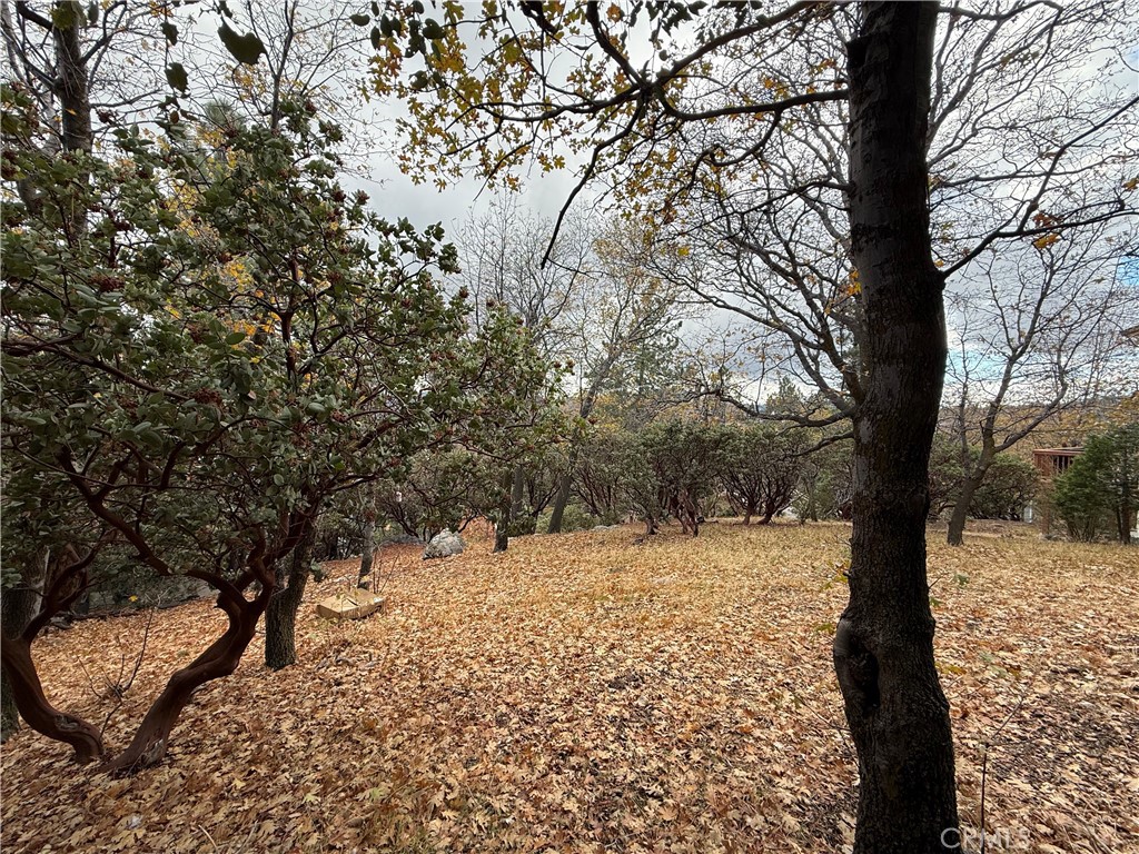 MLS #IG25264891 image #5