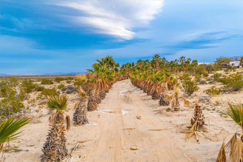 https://media.crmls.org/medias/61018fd9-cb35-47bc-b517-316b0db92286.jpg?preset=X-Large