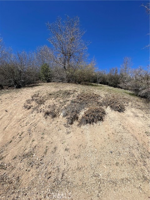 Detail Gallery Image 11 of 14 For 0 Pine Dr, Cedar Glen,  CA 92321 - – Beds | – Baths