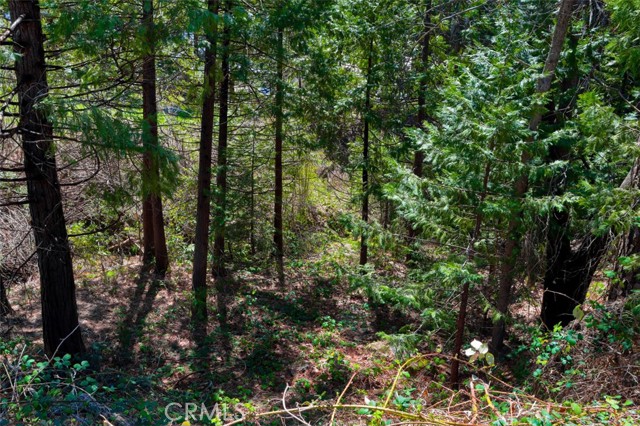 Detail Gallery Image 26 of 30 For 0 Dogwood Creek Dr, Bass Lake,  CA 93604 - – Beds | – Baths