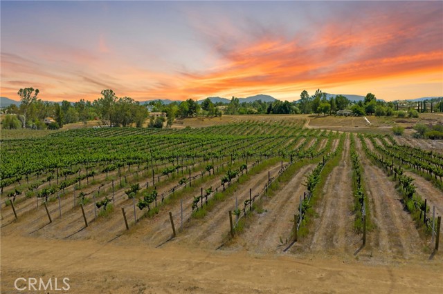 Detail Gallery Image 3 of 16 For 0 Berenda Rd, Temecula,  CA 92591 - – Beds | – Baths