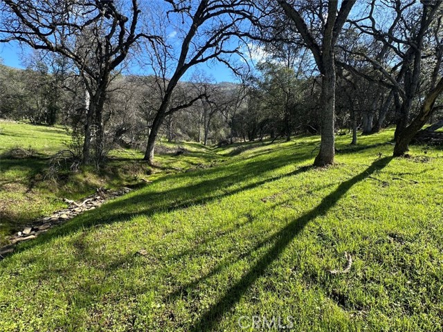 Detail Gallery Image 27 of 32 For 471 Ac - Hwy 49n, Mariposa,  CA 95338 - – Beds | – Baths