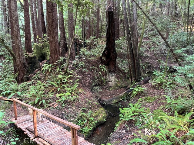 Detail Gallery Image 25 of 40 For 16125 Bittner Rd, Occidental,  CA 95465 - 4 Beds | 2 Baths