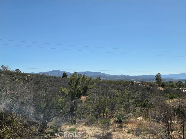 Detail Gallery Image 6 of 10 For 0 Howard, Anza,  CA 92539 - – Beds | – Baths