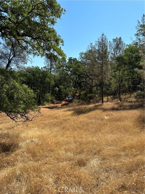 0 Rich Gulch Road, Yankee Hill, California 95965, ,Land,For Sale,0 Rich Gulch Road,CRSN23101845