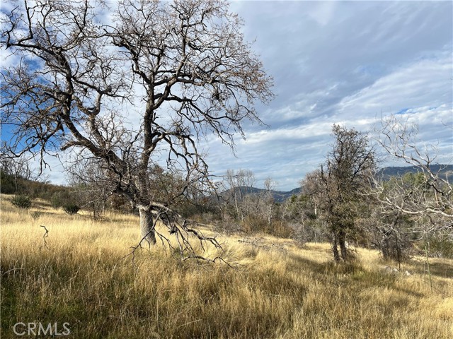 Detail Gallery Image 58 of 69 For 4934 Guadalupe Fire, Catheys Valley,  CA 95306 - – Beds | – Baths