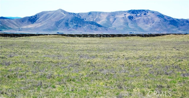 Detail Gallery Image 3 of 5 For 13250 Calipatria Rd, Santa Margarita,  CA 93453 - – Beds | – Baths