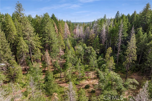 Detail Gallery Image 7 of 23 For 0 Tranquility/Skyway, Magalia,  CA 95954 - – Beds | – Baths