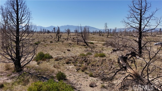 Detail Gallery Image 14 of 23 For 34 Blk 43 Lot 34 Heinzelman Dr., Montague,  CA 96064 - – Beds | – Baths