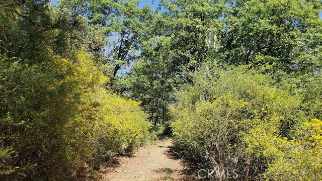 Front Image Thumbnail for CRLC26061821