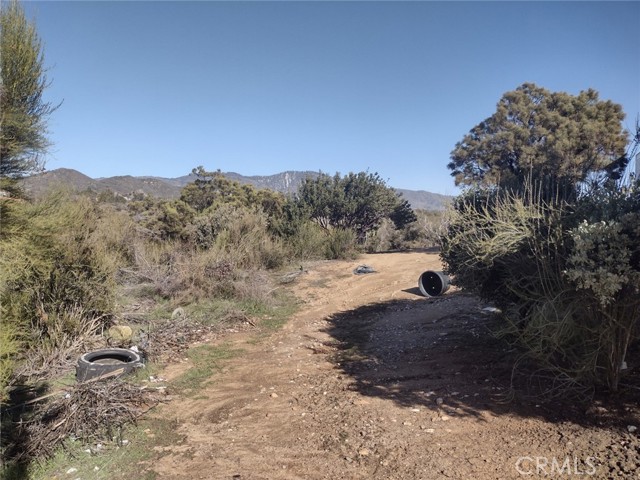 37400 Tripp Flat Road, Anza, California 92539, ,Land,For Sale,37400 Tripp Flat Road,CRSW23021079