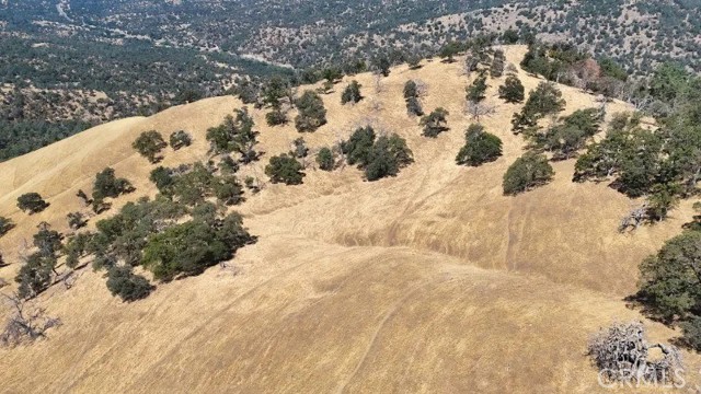 Detail Gallery Image 2 of 20 For 0 Mountain View Peak Road, O Neals,  CA 93653 - – Beds | – Baths