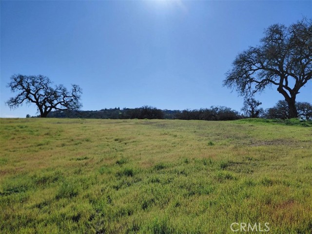 Detail Gallery Image 2 of 16 For 1920 Fire Rock Loop, Templeton,  CA 93465 - – Beds | – Baths