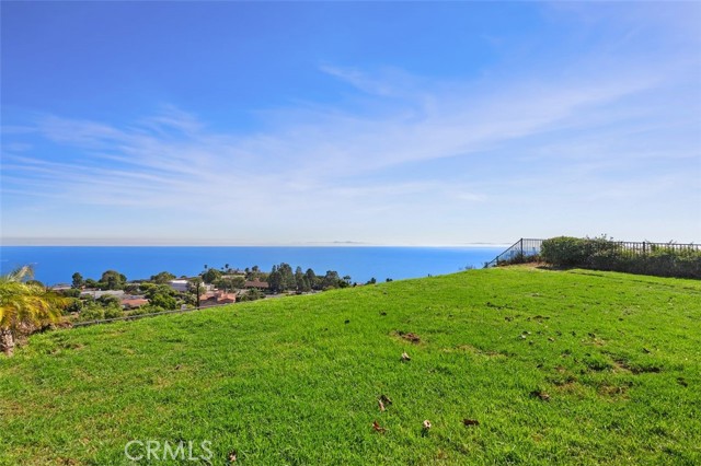 Backyard Ocean View