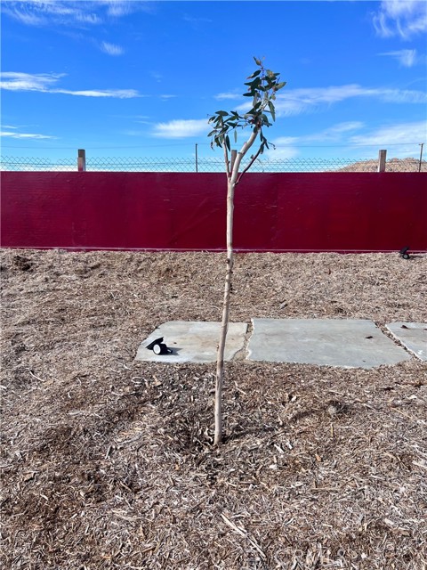 Detail Gallery Image 43 of 52 For 171 Ste Vic Avenue Q2, Palmdale,  CA 93591 - – Beds | – Baths