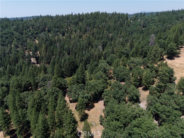 0 Slalom Lane, Pollock Pines CA: https://media.crmls.org/medias/612a7b9f-6478-44d8-a1c9-b0bff5859918.jpg